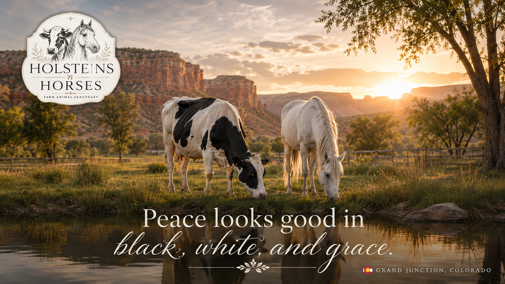 A peaceful sanctuary moment