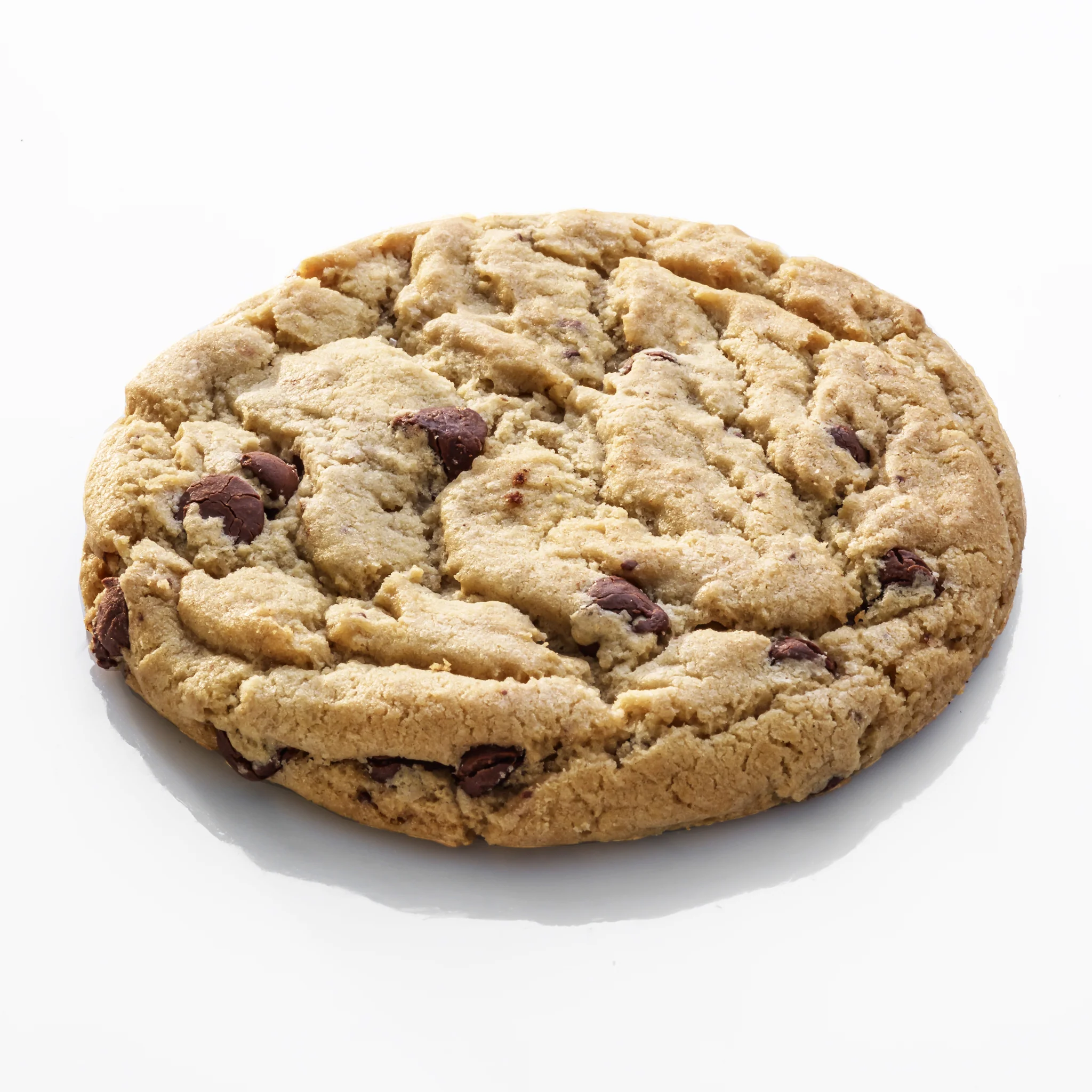 Large chocolate chip cookie