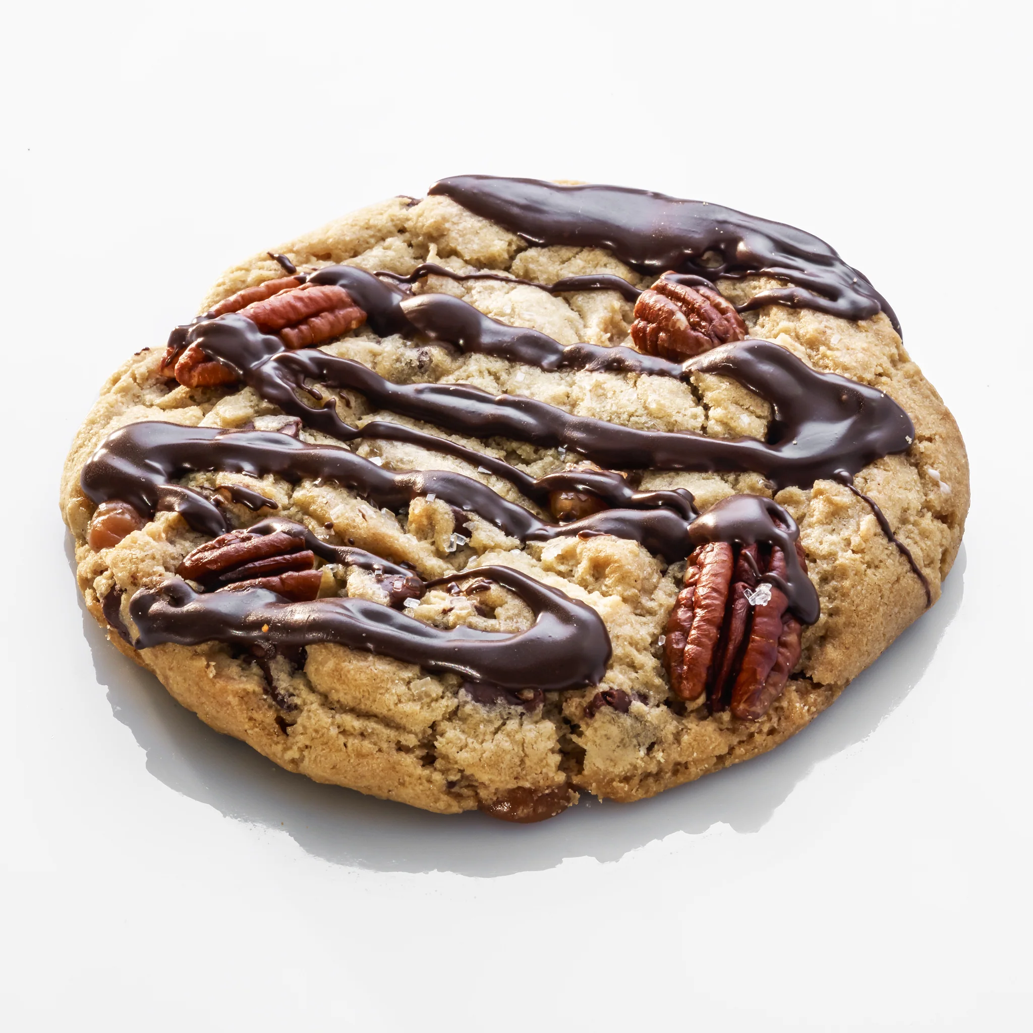 Turtle cookie